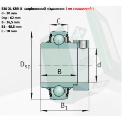 E30KRRB підшипник (не змащуваний) INA