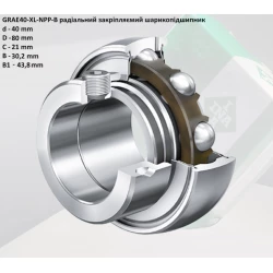 GRAE 40 NPPB підшипник INA-Германія 40х80х43,8
