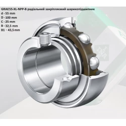 GRAE 55 NPPB підшипник INA-Германія 55х100х43,5 GRAE 55 NPPB підшипник INA-Германія 55х100х43,5
