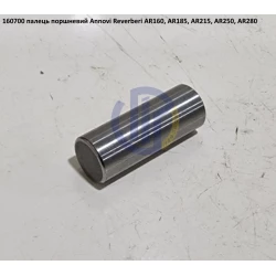 AR160 палець поршня насоса Annovi Reverberi 160700 AR185, AR215, AR250, AR280 AR160 палець поршня насоса Annovi Reverberi 160700 AR185, AR215, AR250, AR280