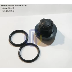 Клапан насоса з кільцями Biardzki P120 Клапан насоса з кільцями Biardzki P120