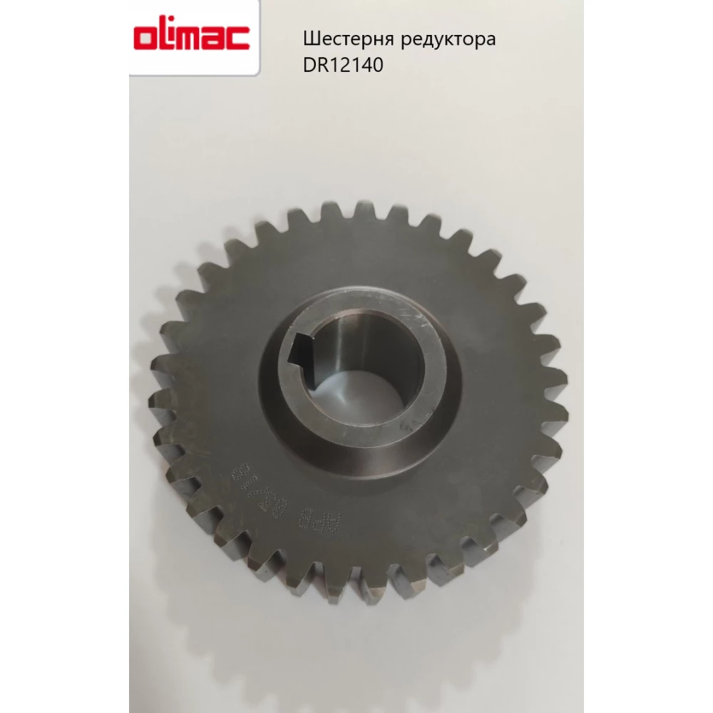Шестерня цилиндрическая редуктора измельчителя Olimac Drago, DR12140