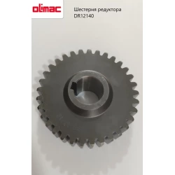 Шестерня цилиндрическая редуктора измельчителя Olimac Drago, DR12140 Шестерня цилиндрическая редуктора измельчителя Olimac Drago, DR12140