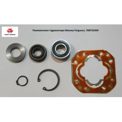 Ремкомплект гідромотора Massey ferguson, 700731929 Ремкомплект гідромотора Massey ferguson, 700731929