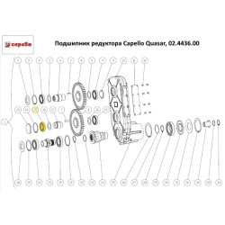 Подшипник редуктора Capello Quasar, 02.4436.00
