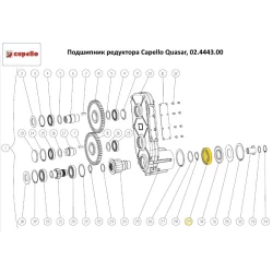 Подшипник редуктора Capello Quasar, 02.4443.00 Подшипник редуктора Capello Quasar, 02.4443.00
