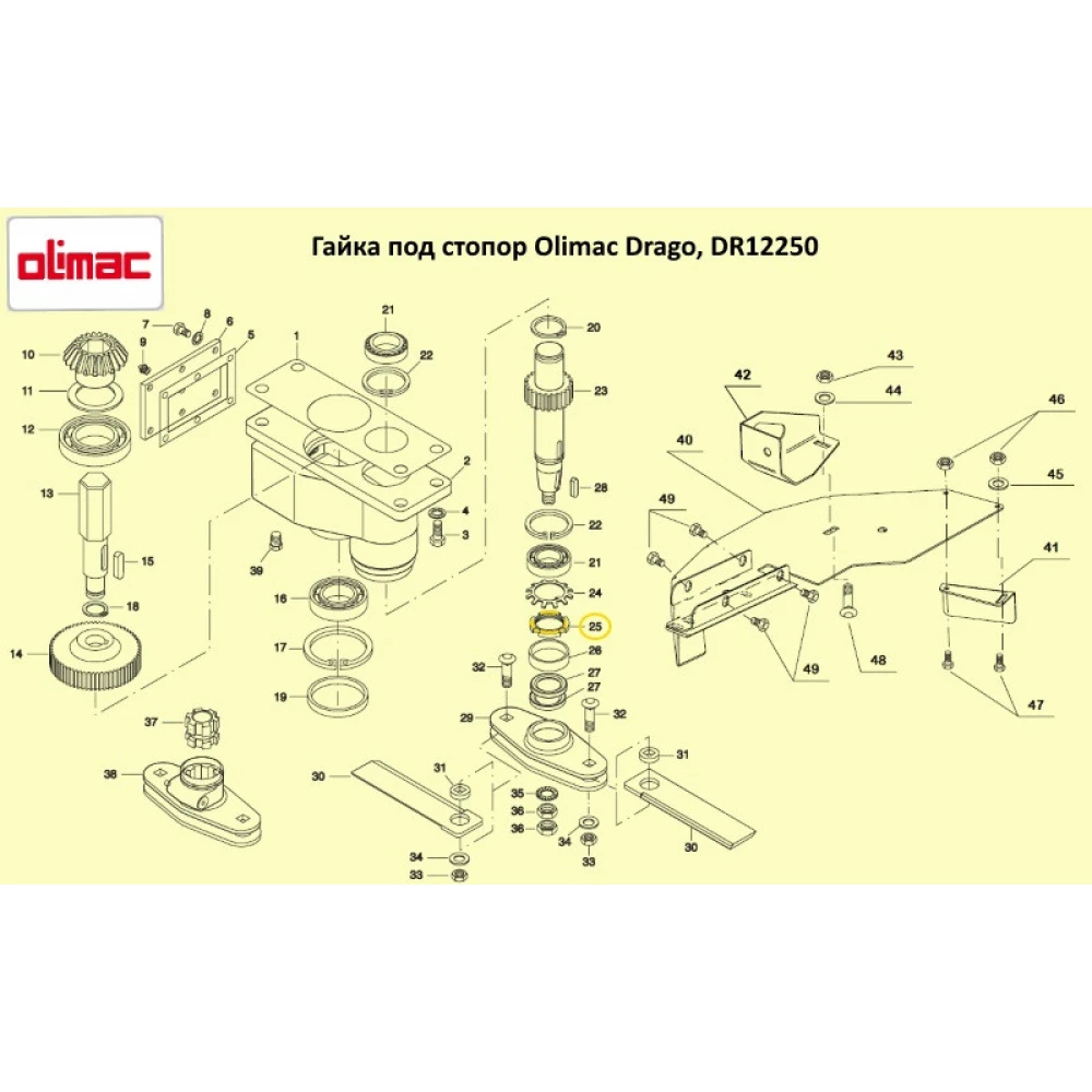Гайка под стопор Olimac Drago DR12250