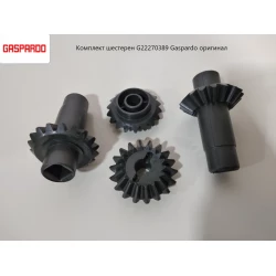 Комплект шестерень z-18 G22270389 Gaspardo Комплект шестерень z-18 G22270389 Gaspardo