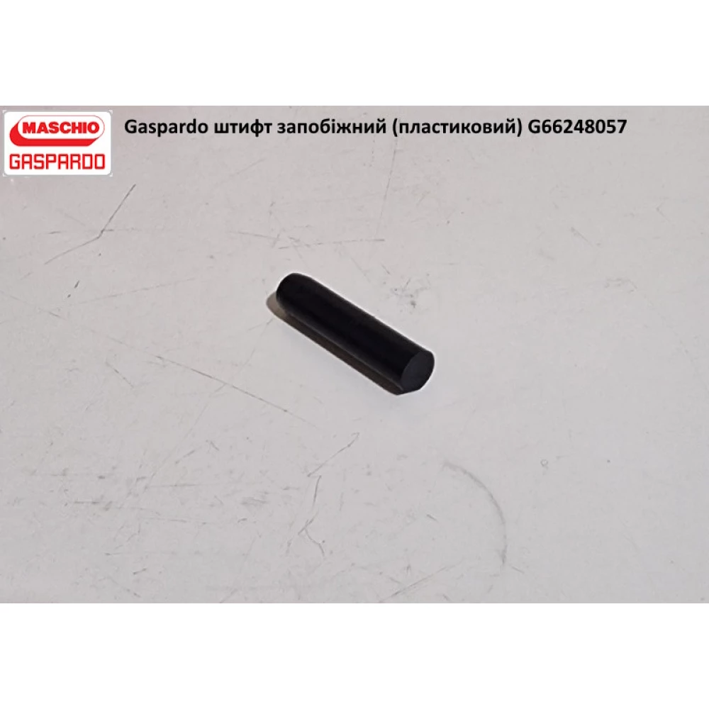 Штифт запобіжний (пластиковий) Gaspardo G66248057