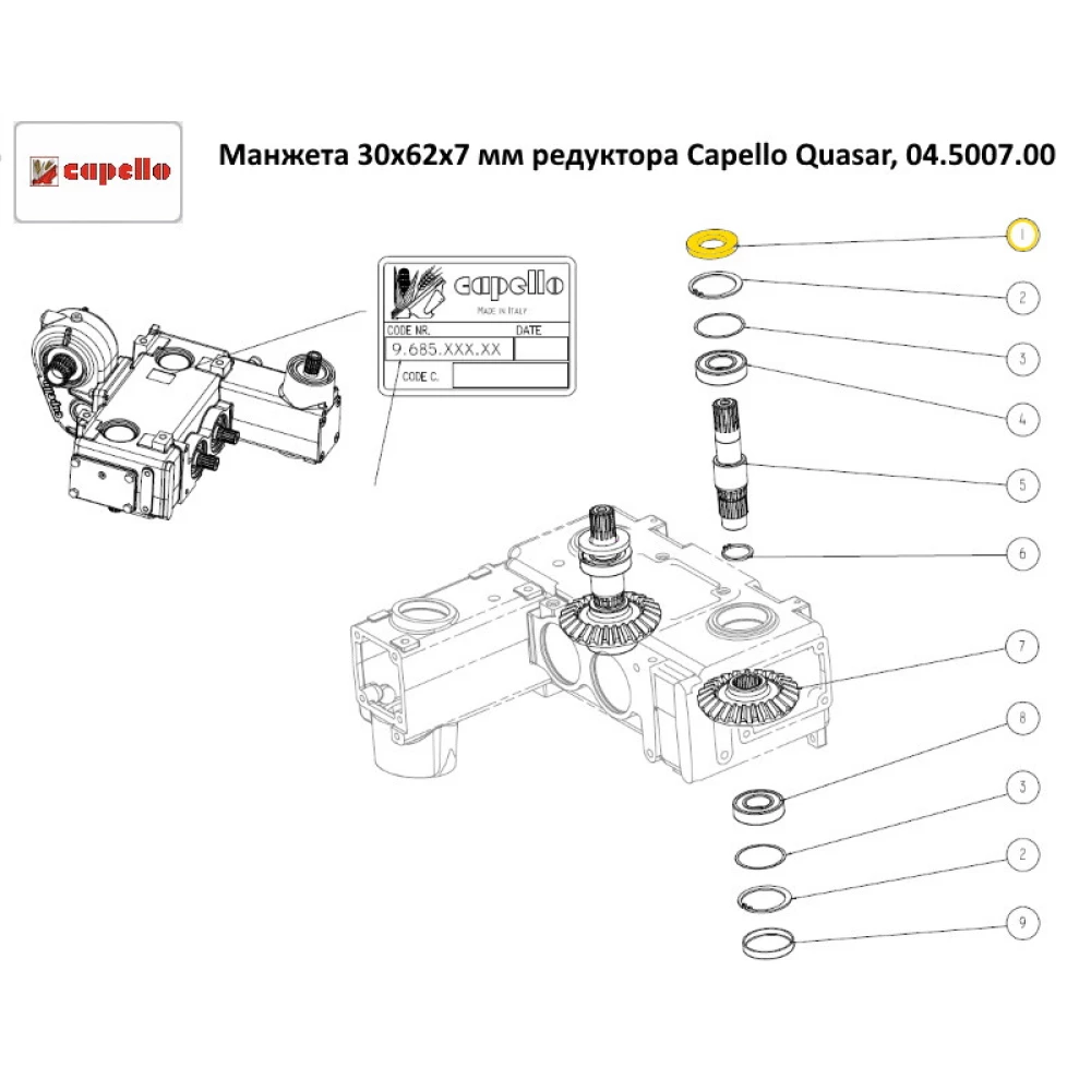 Манжета 30х62х7 мм редуктора Capello Quasar, 04.5007.00