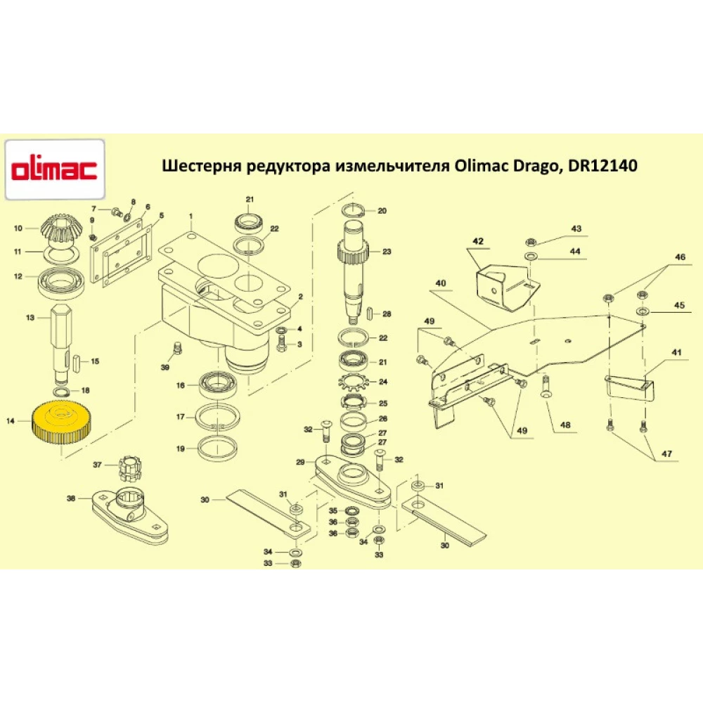 Шестерня цилиндрическая редуктора измельчителя Olimac Drago, DR12140