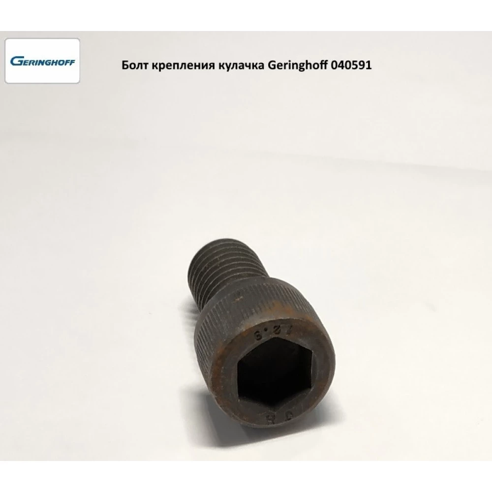 Болт кріплення кулачка Geringhoff 040591 аналог М14х25 12,9