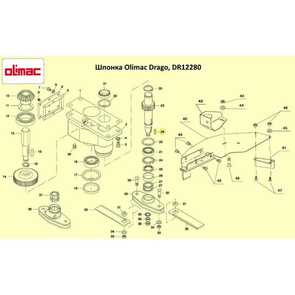 Шпонка Olimac Drago, DR12280
