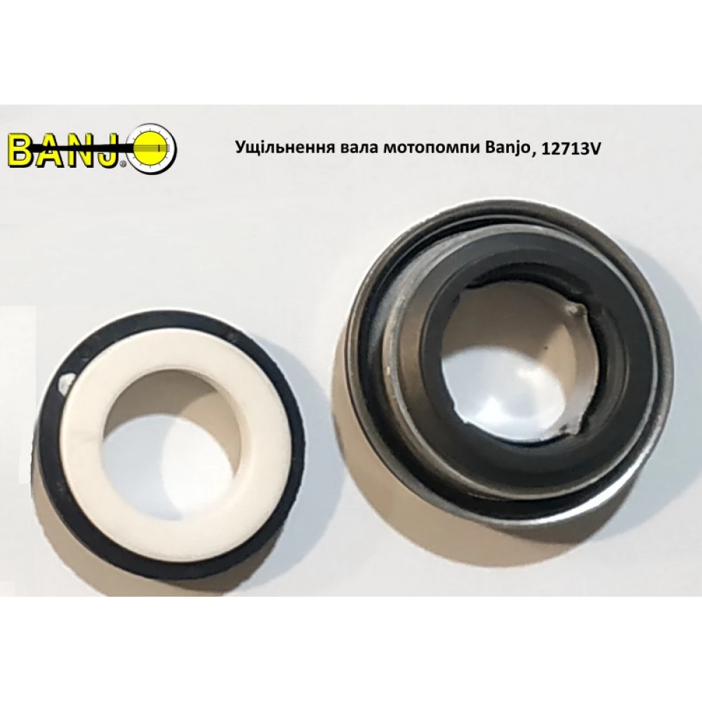 Ремкомплект мотопомпі Banjo 2“, 12000A