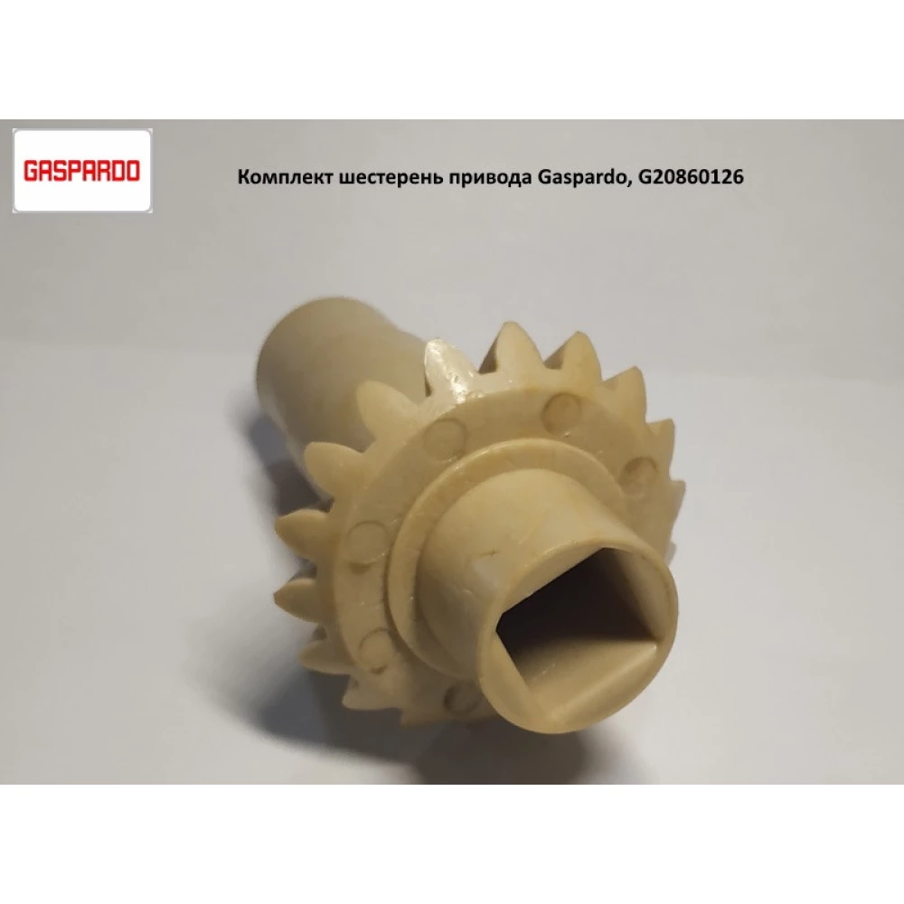 Комплект шестерень z-18 G22270389 Gaspardo
